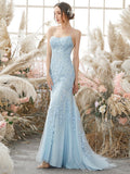 Mermaid Light Blue Prom Dress Long Prom Dress