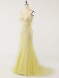 Mermaid Light Blue Prom Dress Long Evening Dress