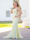 Mermaid Light Blue Prom Dress Long Evening Dress