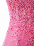 Lace V Neck Homecoming Dress With Applique